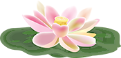 Lotus Flower with Leaves
